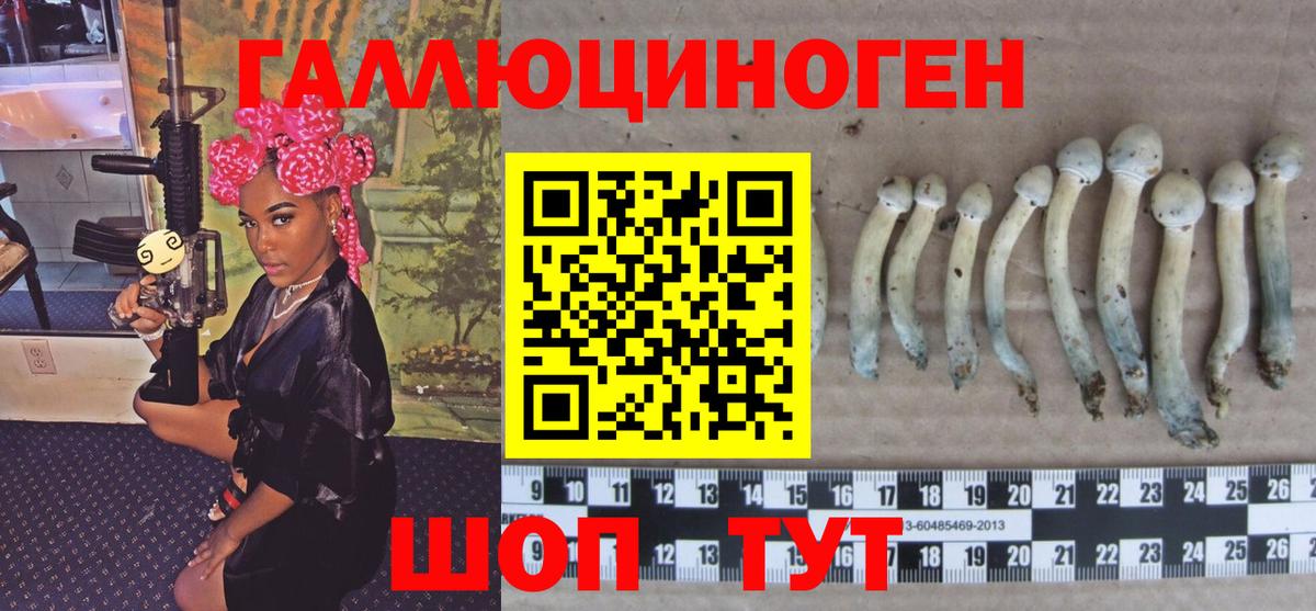 закладки  Вход с VPN  Орск  Псилоцибиновые грибы мицелий 