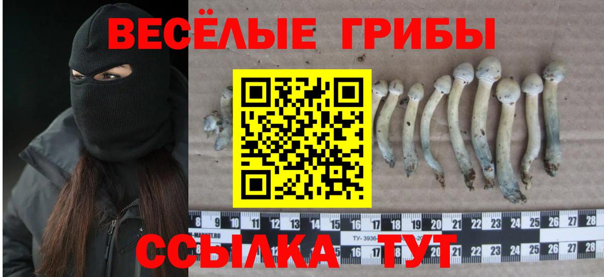Галлюциногенные грибы MAGIC MUSHROOMS Орск